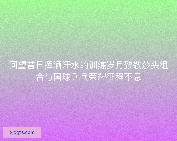 回望昔日挥洒汗水的训练岁月致敬莎头组合与国球乒乓荣耀征程不息